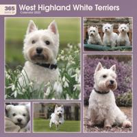 West Highland White Terriers 365 Days Square Wall Calendar 2022
