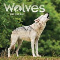 2023 Wolves Mini Calendar