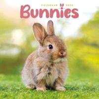Bunnies Square Mini Calendar 2025