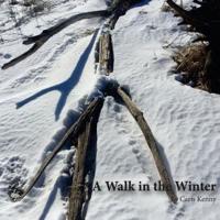 A Walk in the Winter