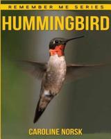 Hummingbird