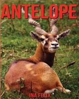 Antelope