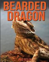 Bearded Dragon