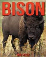 Bison