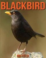 Blackbird