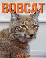 Bobcat