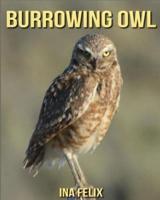 Burrowing Owl