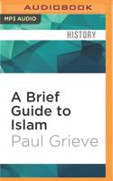 A Brief Guide to Islam