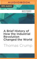 A Brief History of How the Industrial Revolution Changed the World