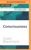 Consciousness