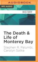 The Death & Life of Monterey Bay