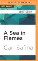 A Sea in Flames