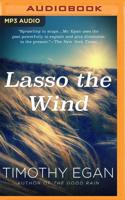 Lasso the Wind