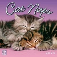 2020 Cat Naps 16-Month Wall Calendar