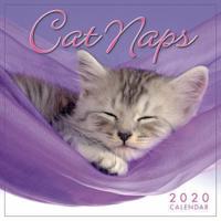 2020 Cat Naps Mini Calendar