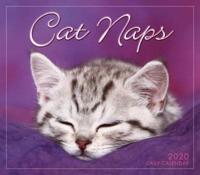 2020 Cat Naps Boxed Daily Calendar