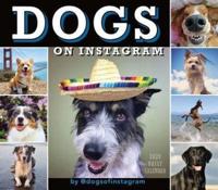 2020 Dogs on Instagram Boxed Daily Calendar