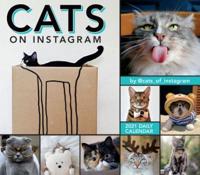 2021 Cats on Instagram Boxed Daily Calendar