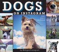 2021 Dogs on Instagram Boxed Daily Calendar