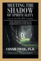 Meeting the Shadow of Spirituality: The Hidden Power of Darkness on the Path