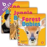 Animal Babies (Set)