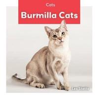 Burmilla Cats