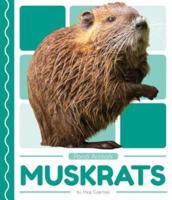 Muskrats