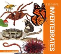 Essential Invertebrates