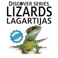 Lizards / Lagartijas