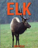 Elk