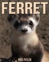 Ferret