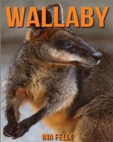 Wallaby