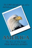 America "The Eye of The Eagle"