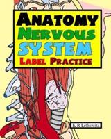 Anatomy Nervous System Label Practice