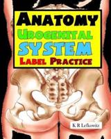 Anatomy Urogenital System Label Practice