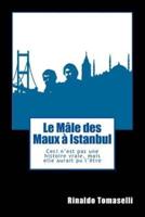 Le Mâle Des Maux À Istanbul