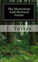 The Mysterious And Mystical Forest