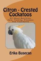 Citron - Crested Cockatoos
