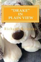 Drake In Plain View