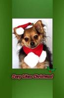 Joey Likes Christmas