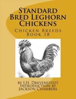 Standard Bred Leghorn Chickens
