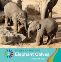 Elephant Calves