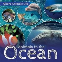 Animals in the Ocean