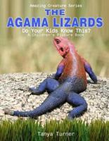 The Agama Lizard