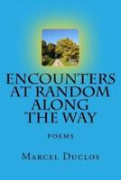 Encounters at Random Along the Way