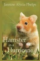 Hamster in a Hurricane