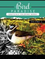Bird Paradise Volume 2