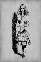 Alice in Wonderland Journal - Tall Alice (Grey)