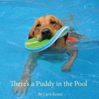 There's a Puddy in the Pool