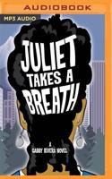Juliet Takes a Breath: A Gabby Rivera Novel